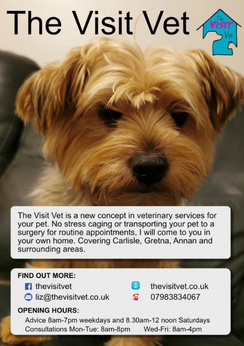 The Visit Vet